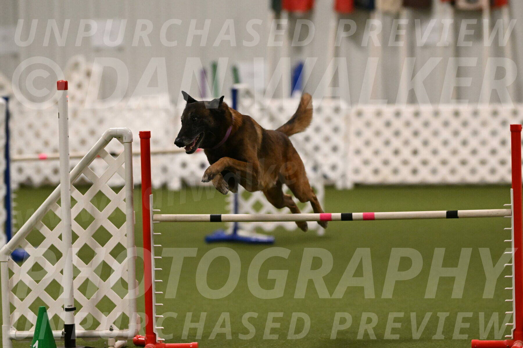 Raylan-Janet-Lasater-05143