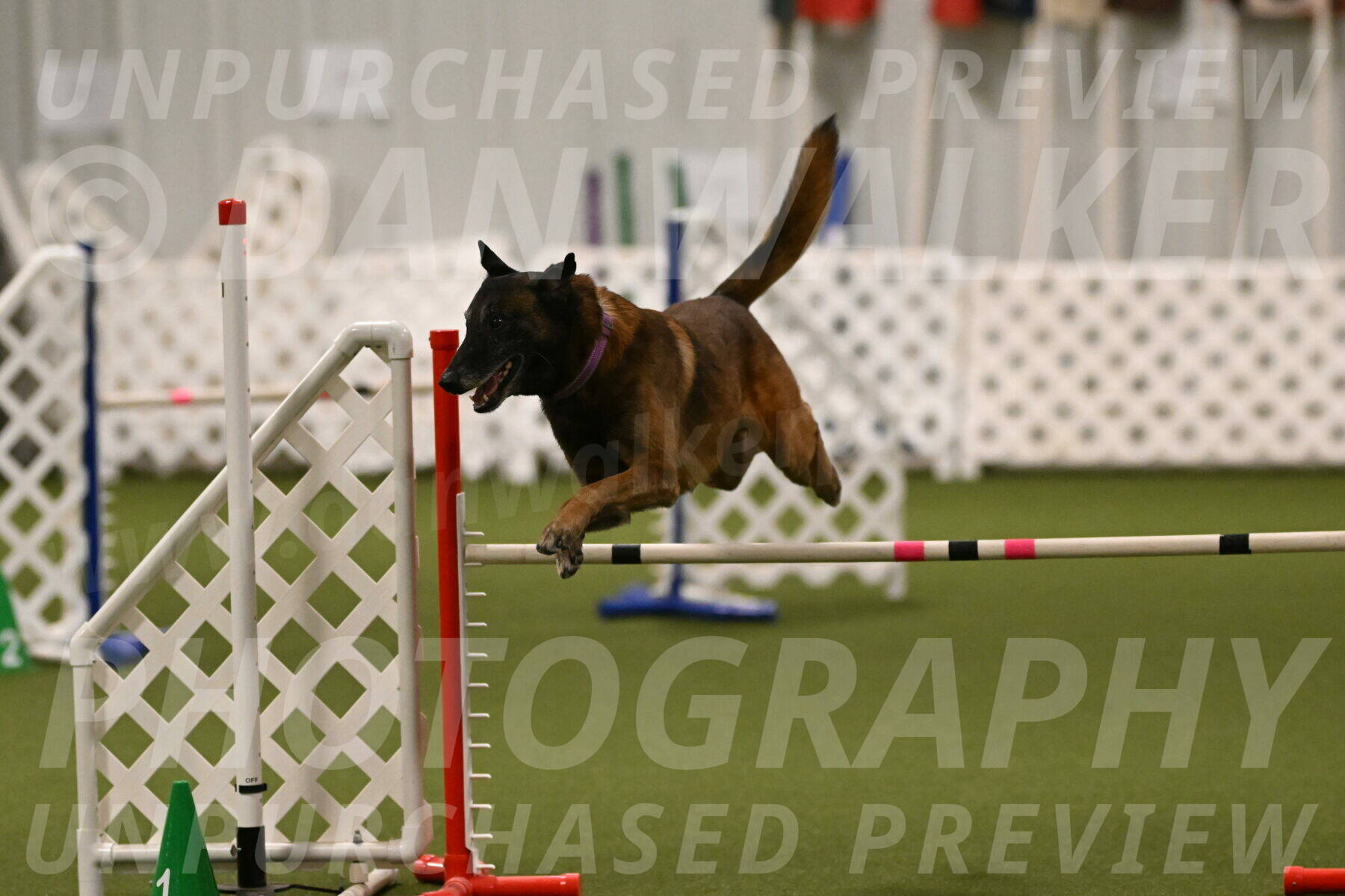 Raylan-Janet-Lasater-05144