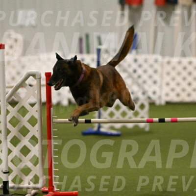 Raylan-Janet-Lasater-05144