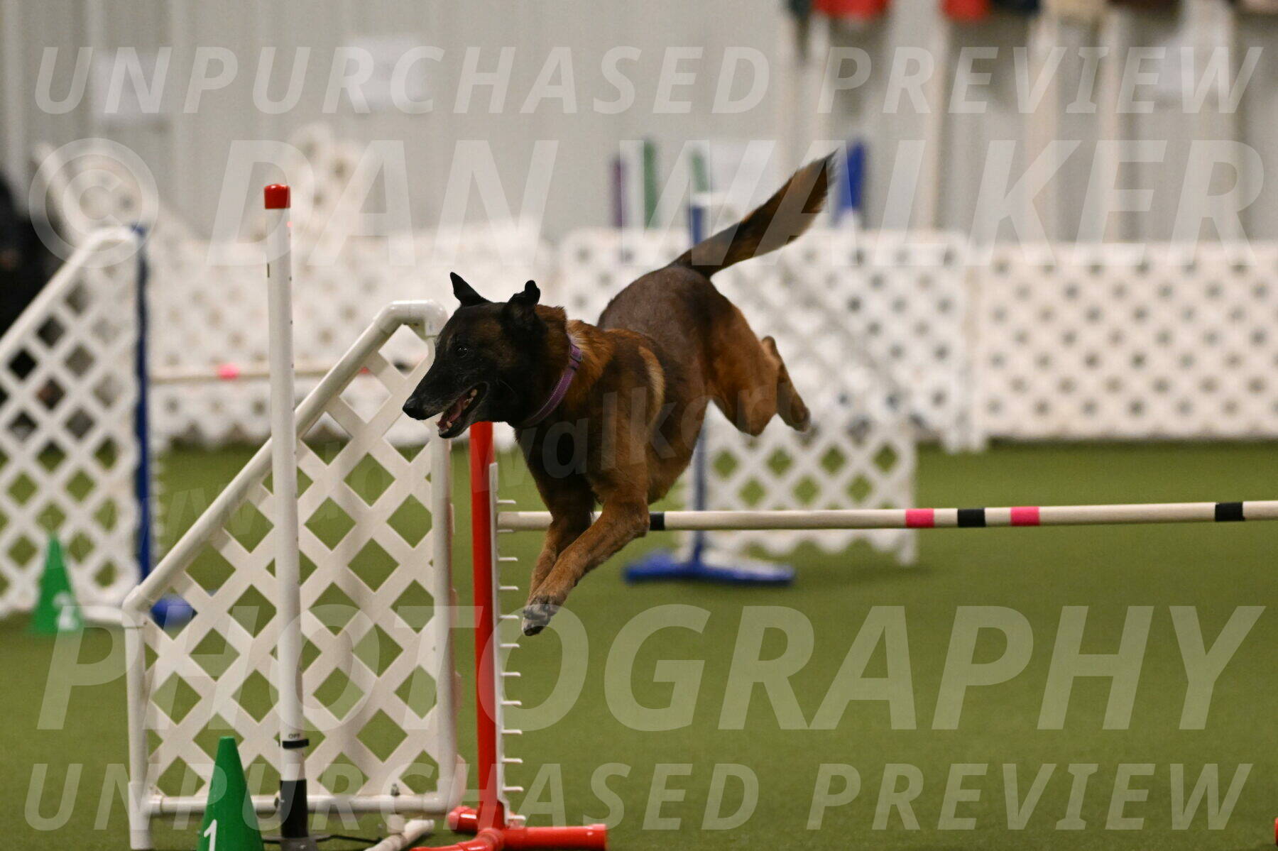 Raylan-Janet-Lasater-05145