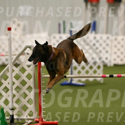 Raylan-Janet-Lasater-05145