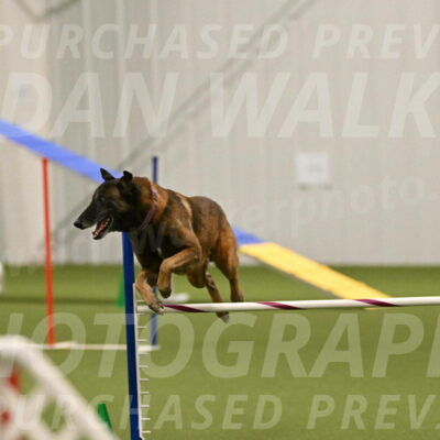 Raylan-Janet-Lasater-05147