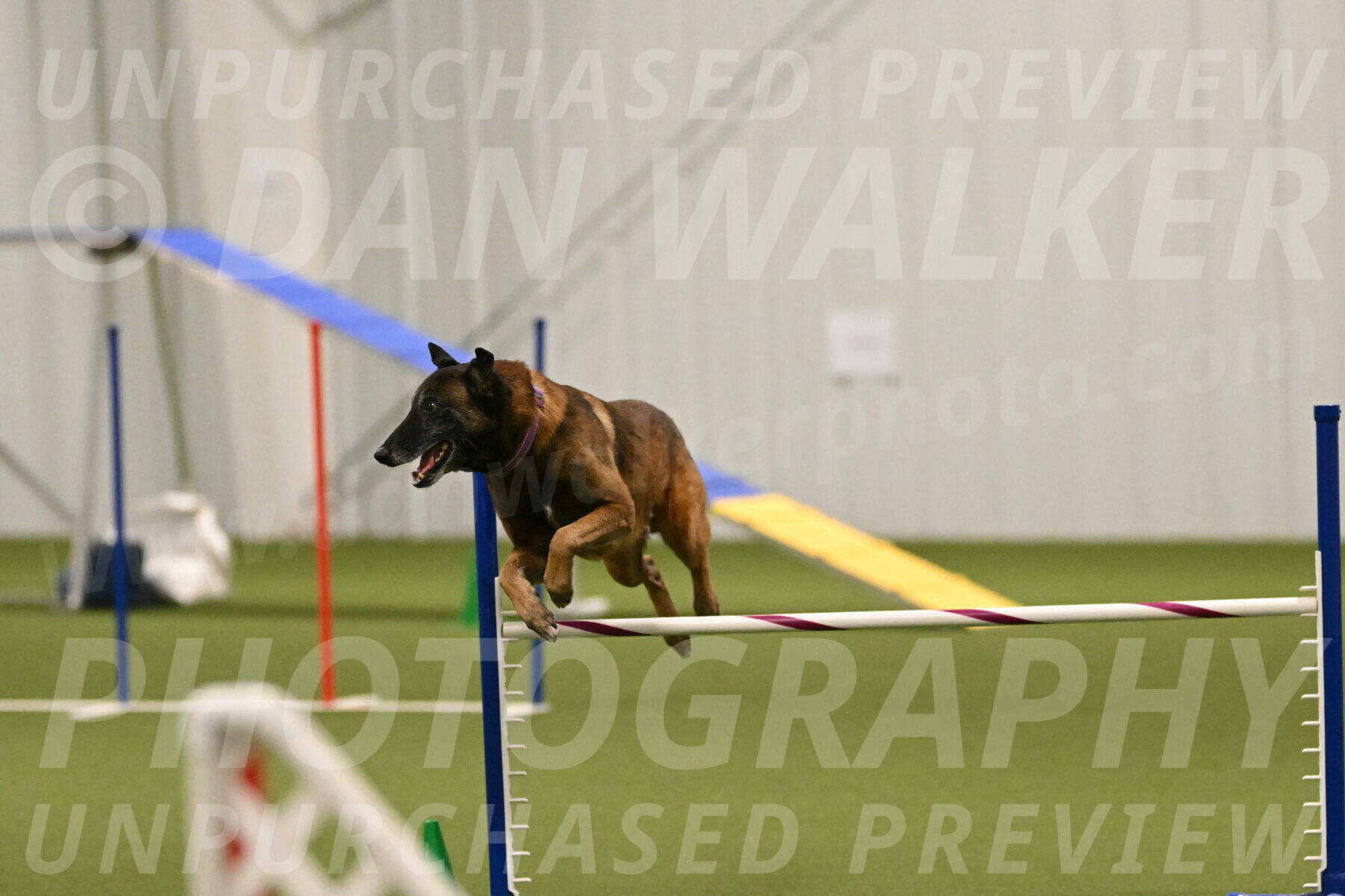 Raylan-Janet-Lasater-05147