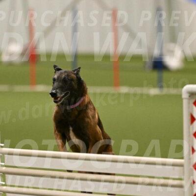 Raylan-Janet-Lasater-05150