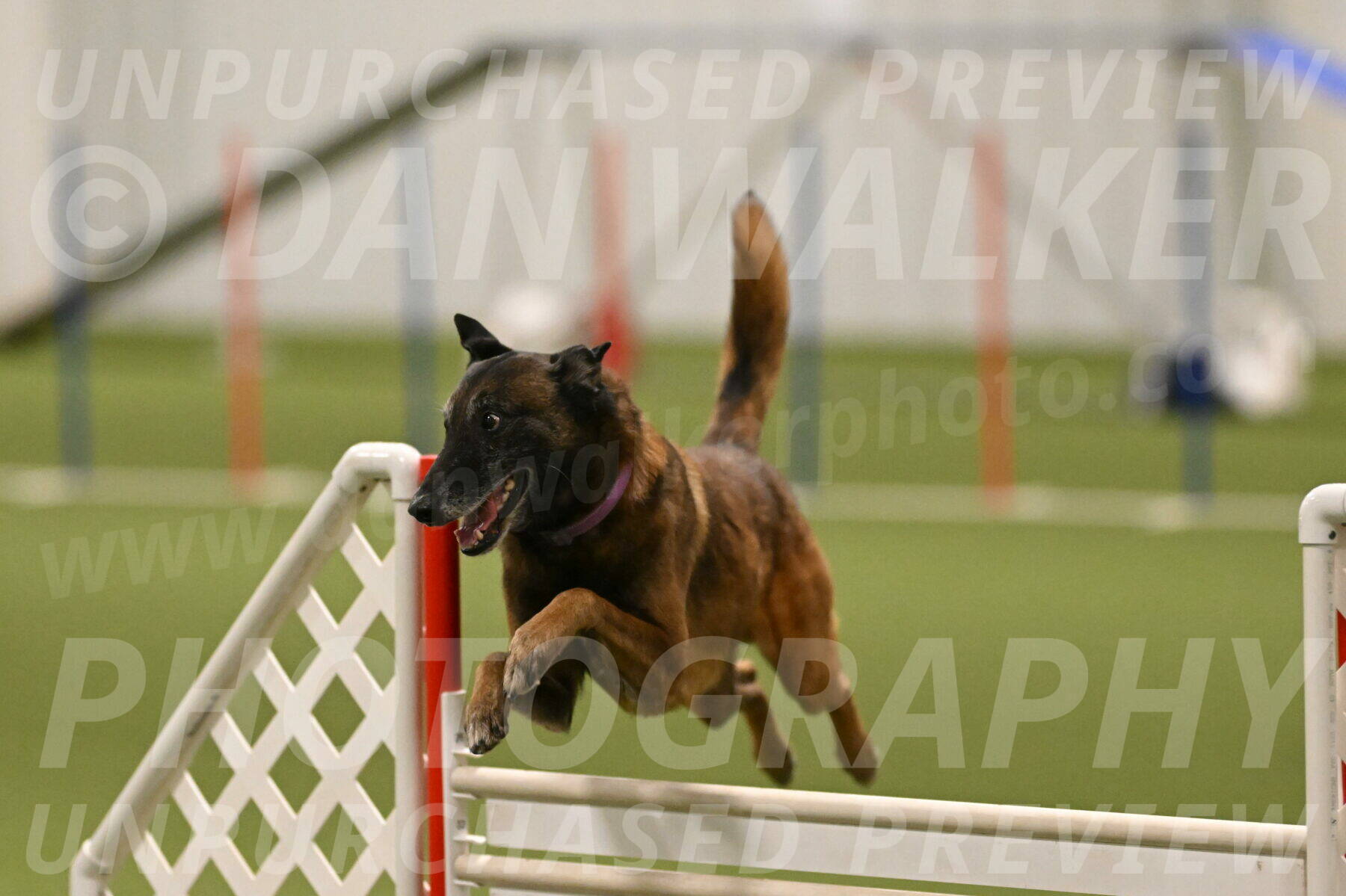 Raylan-Janet-Lasater-05152