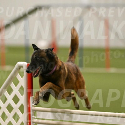 Raylan-Janet-Lasater-05152