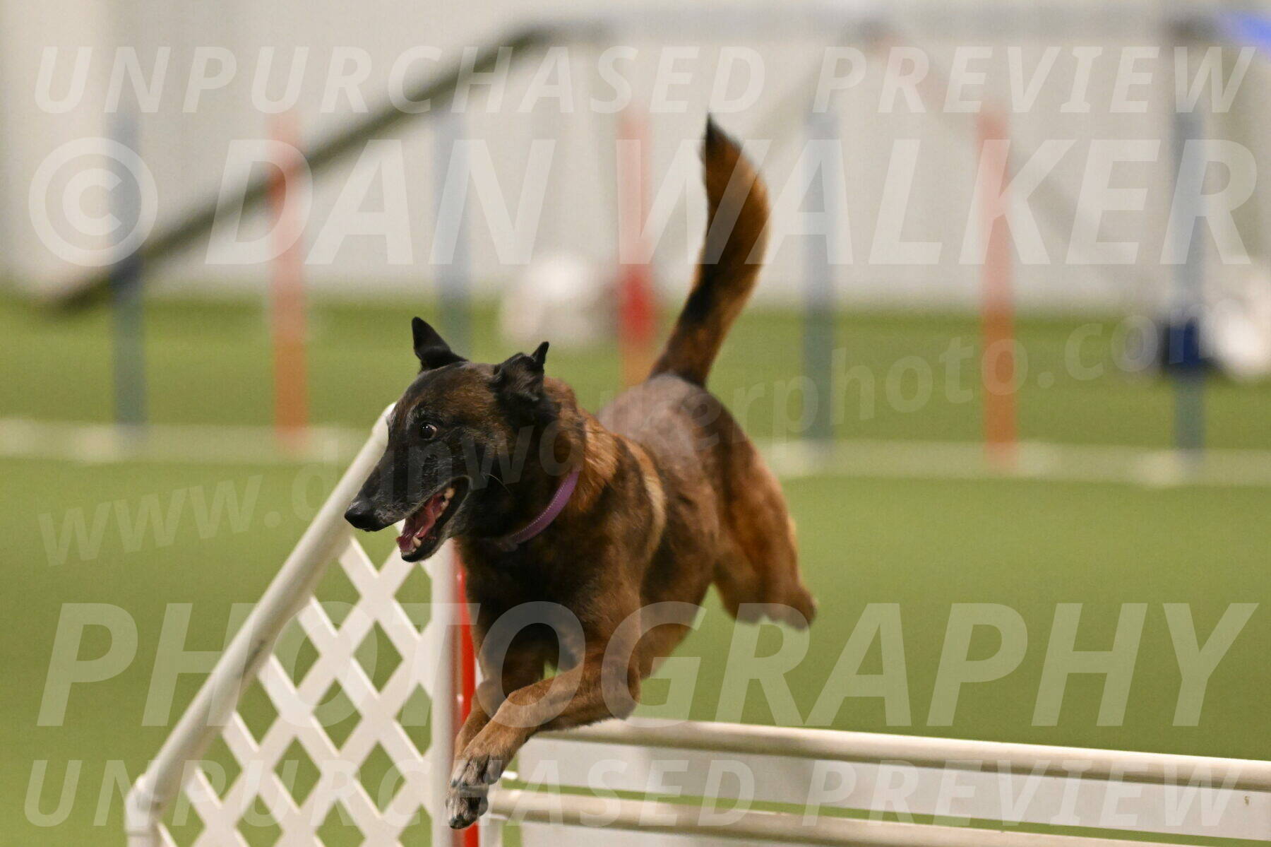 Raylan-Janet-Lasater-05153