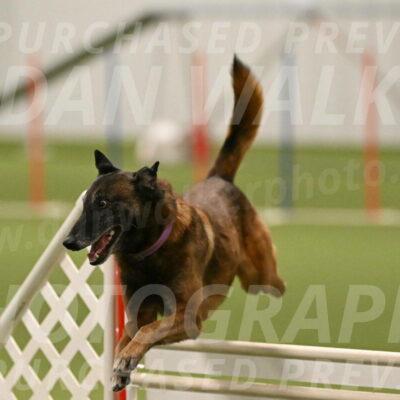 Raylan-Janet-Lasater-05153