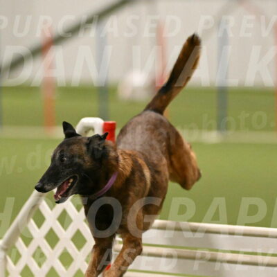 Raylan-Janet-Lasater-05154