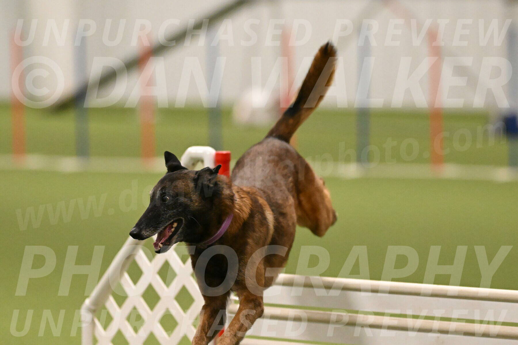 Raylan-Janet-Lasater-05154