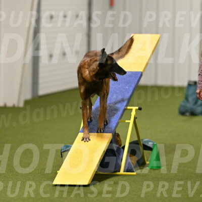 Raylan-Janet-Lasater-05155