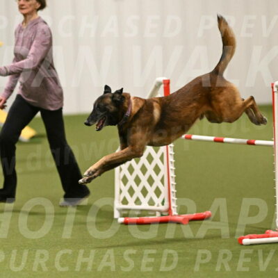 Raylan-Janet-Lasater-05173