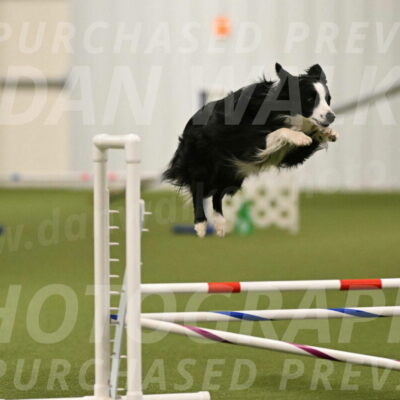 Red-Bull-Mark-Paskawych-09684