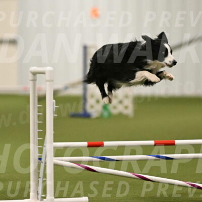 Red-Bull-Mark-Paskawych-09685