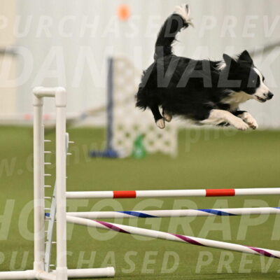 Red-Bull-Mark-Paskawych-09686
