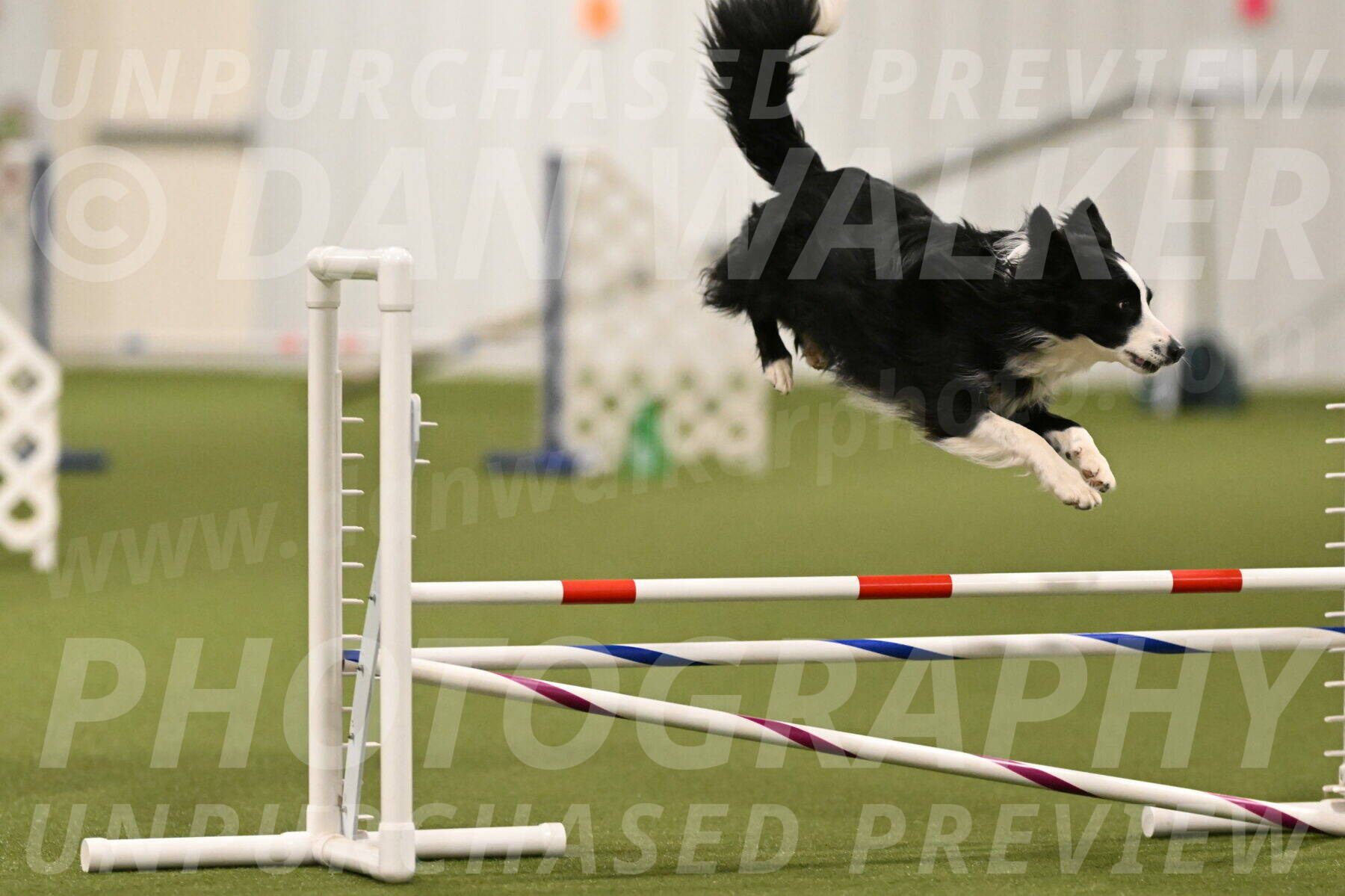Red-Bull-Mark-Paskawych-09687