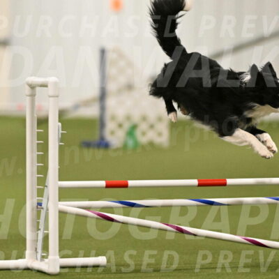 Red-Bull-Mark-Paskawych-09687
