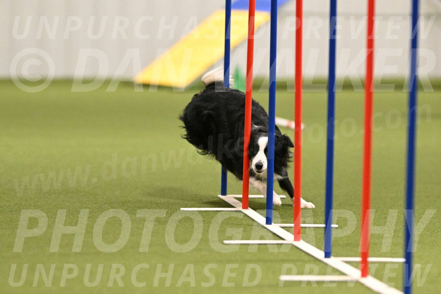 Red-Bull-Mark-Paskawych-09688