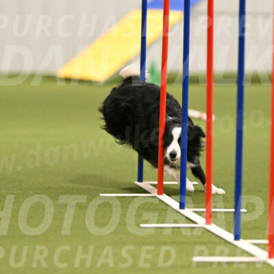 Red-Bull-Mark-Paskawych-09688