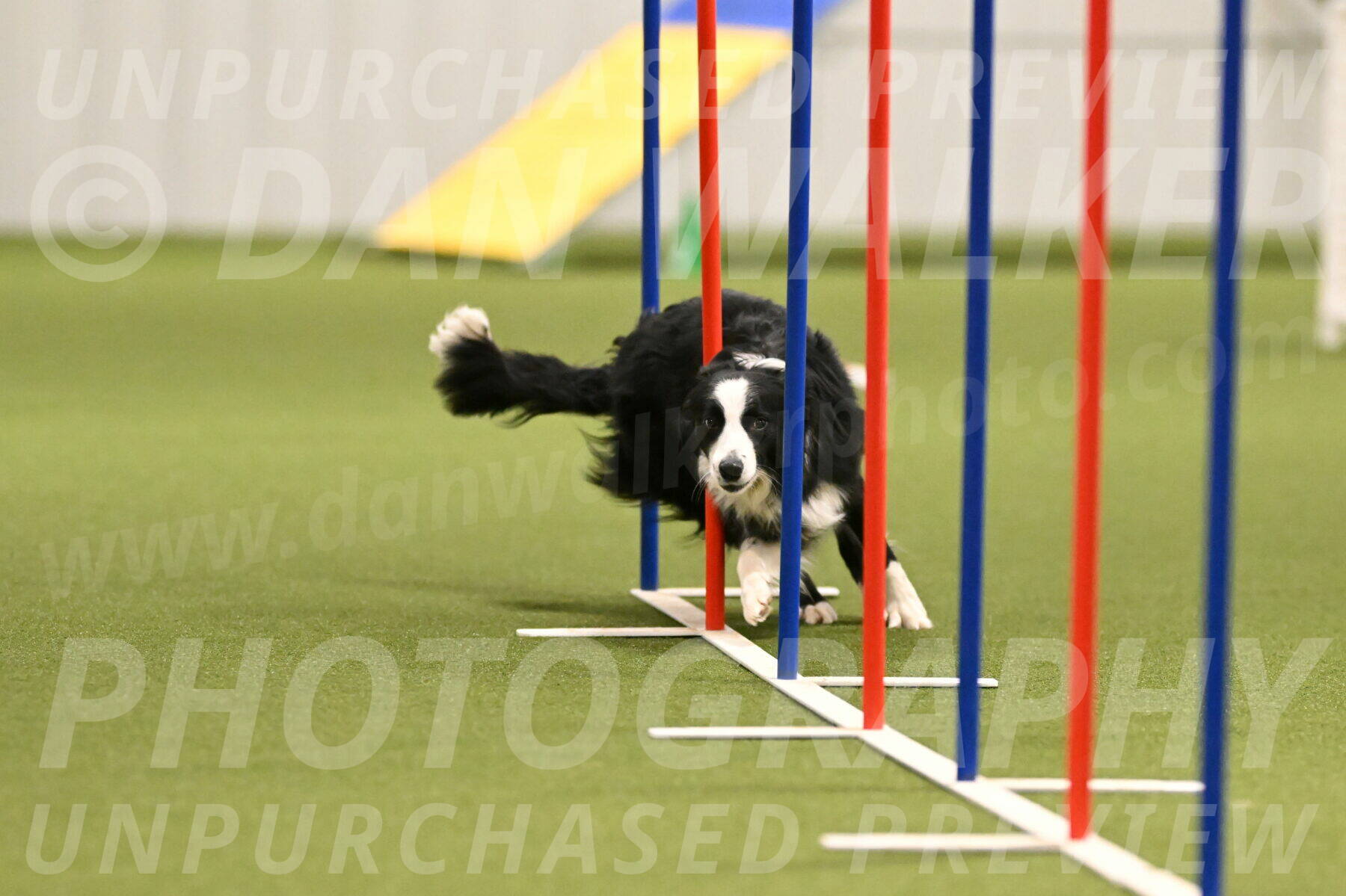Red-Bull-Mark-Paskawych-09689