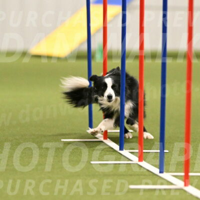 Red-Bull-Mark-Paskawych-09690