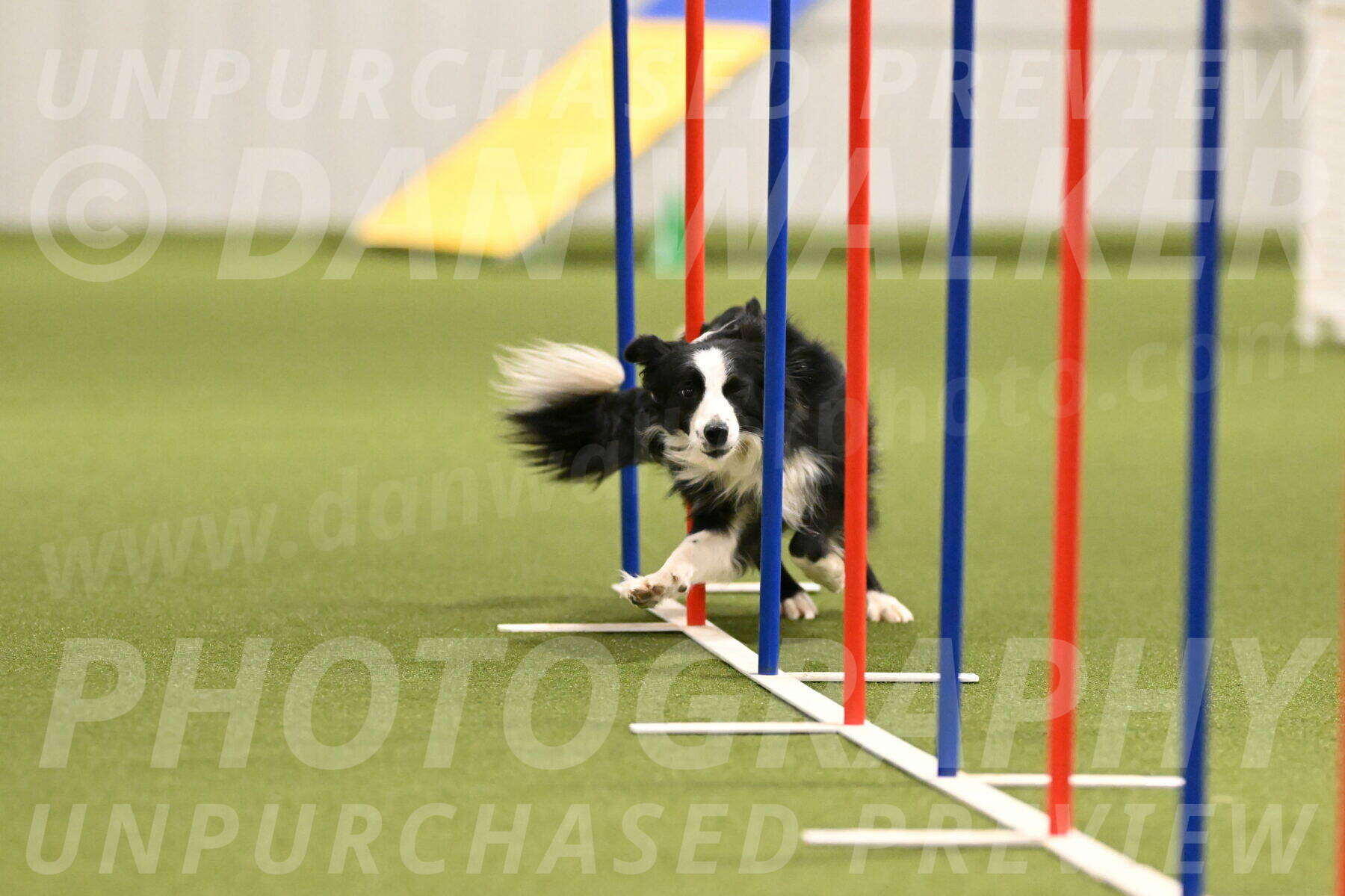 Red-Bull-Mark-Paskawych-09690