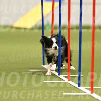 Red-Bull-Mark-Paskawych-09691