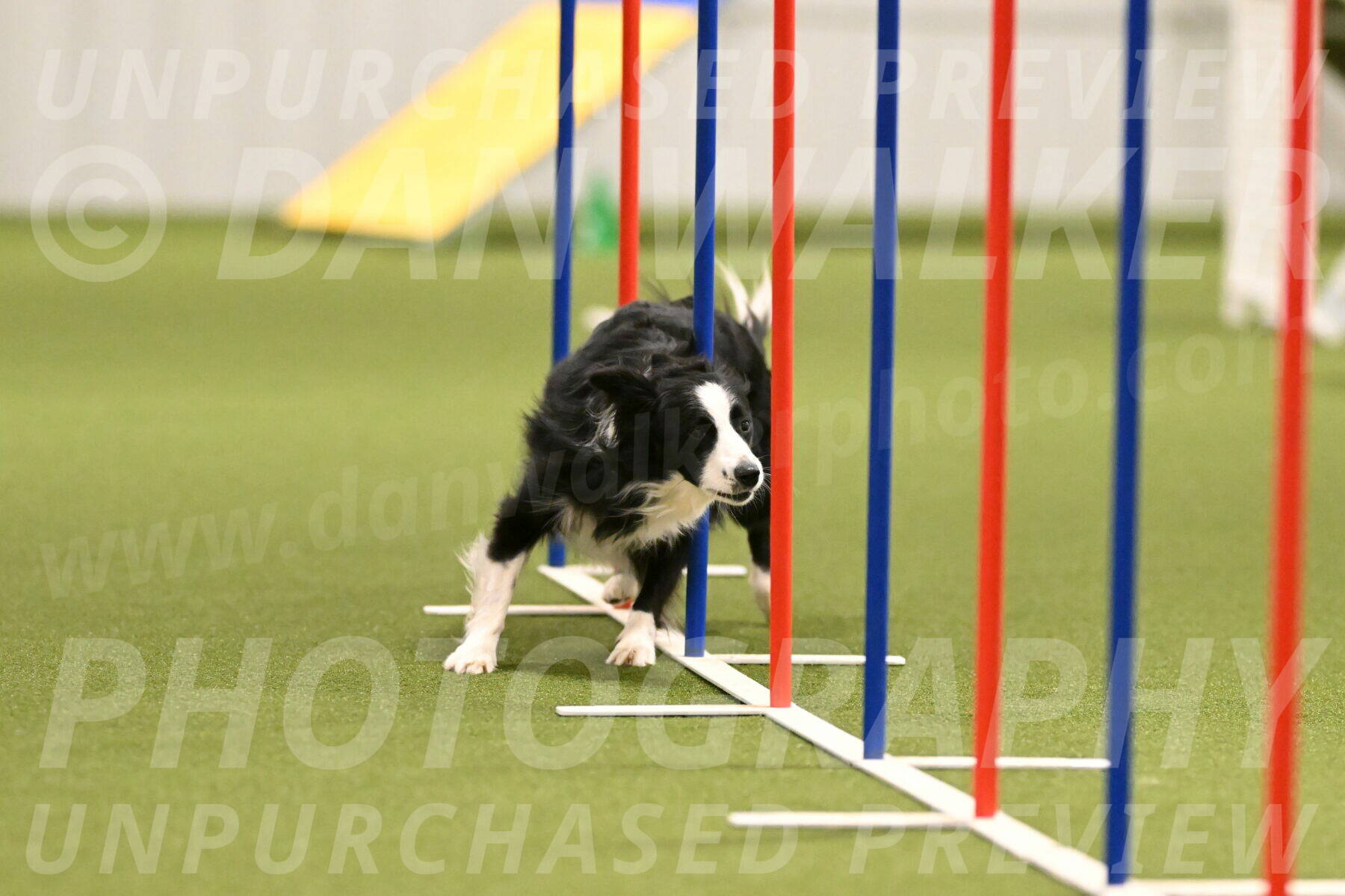 Red-Bull-Mark-Paskawych-09692