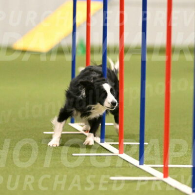 Red-Bull-Mark-Paskawych-09692