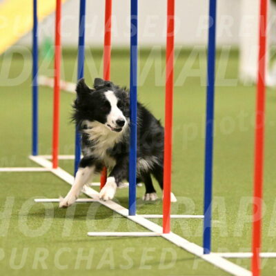Red-Bull-Mark-Paskawych-09694