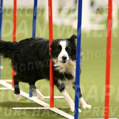 Red-Bull-Mark-Paskawych-09704