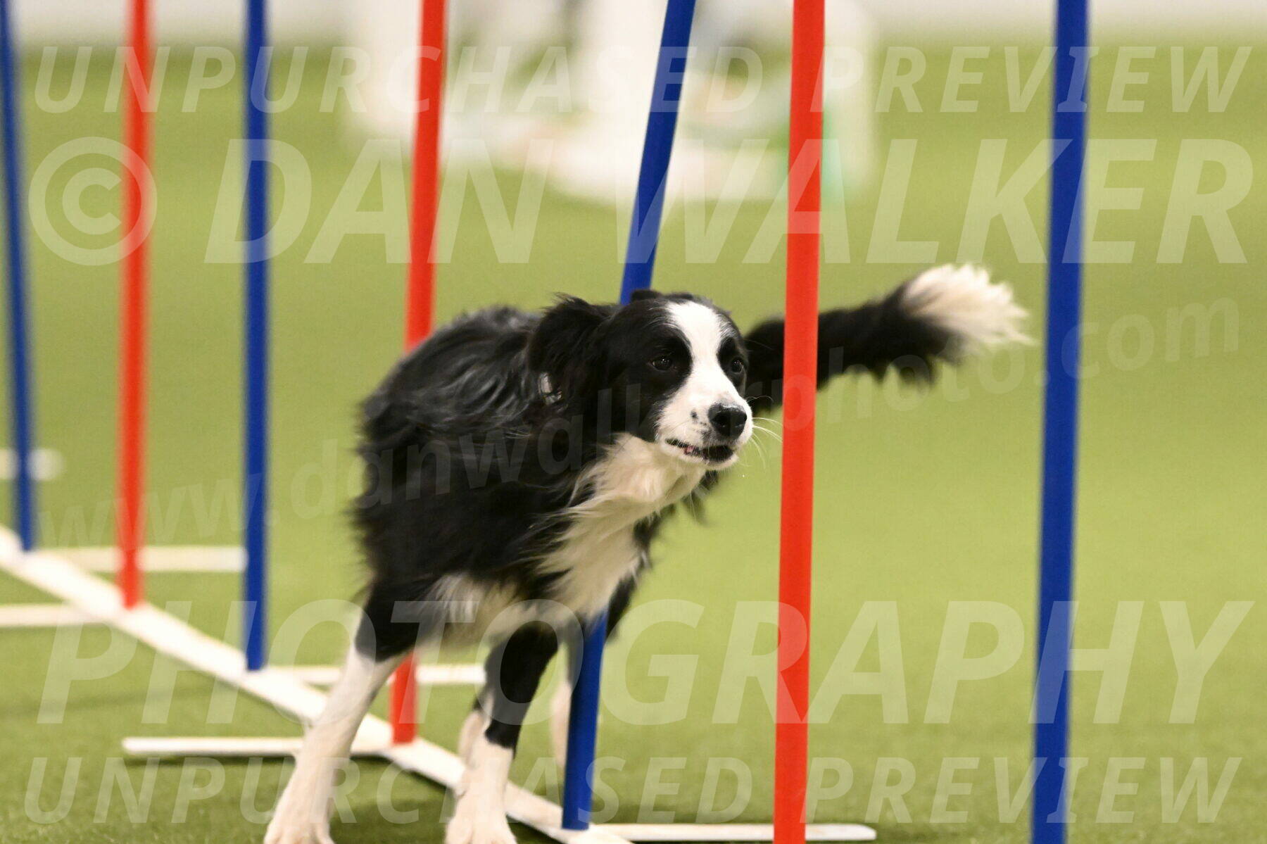 Red-Bull-Mark-Paskawych-09705