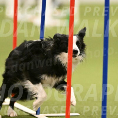 Red-Bull-Mark-Paskawych-09706