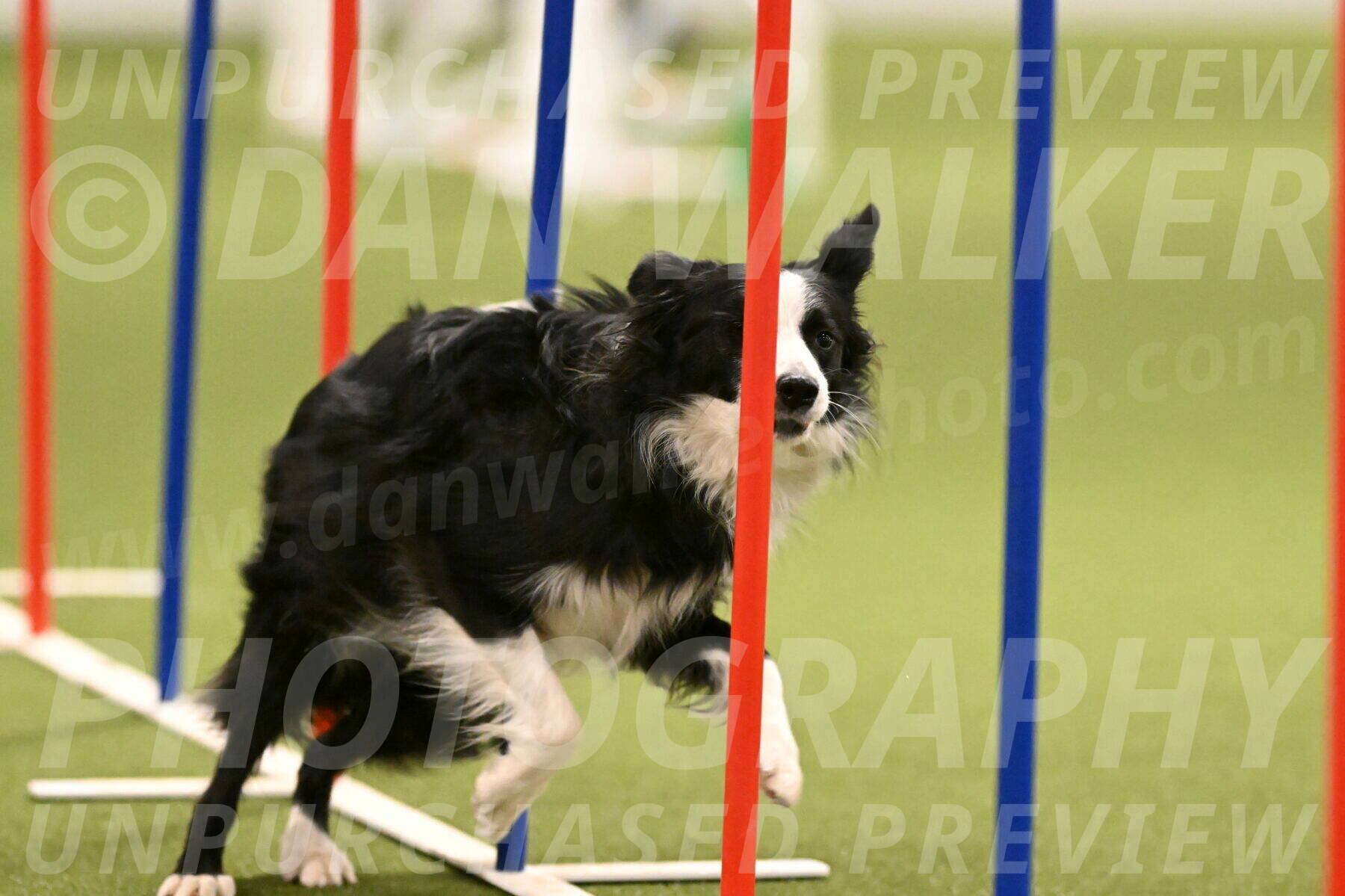Red-Bull-Mark-Paskawych-09706