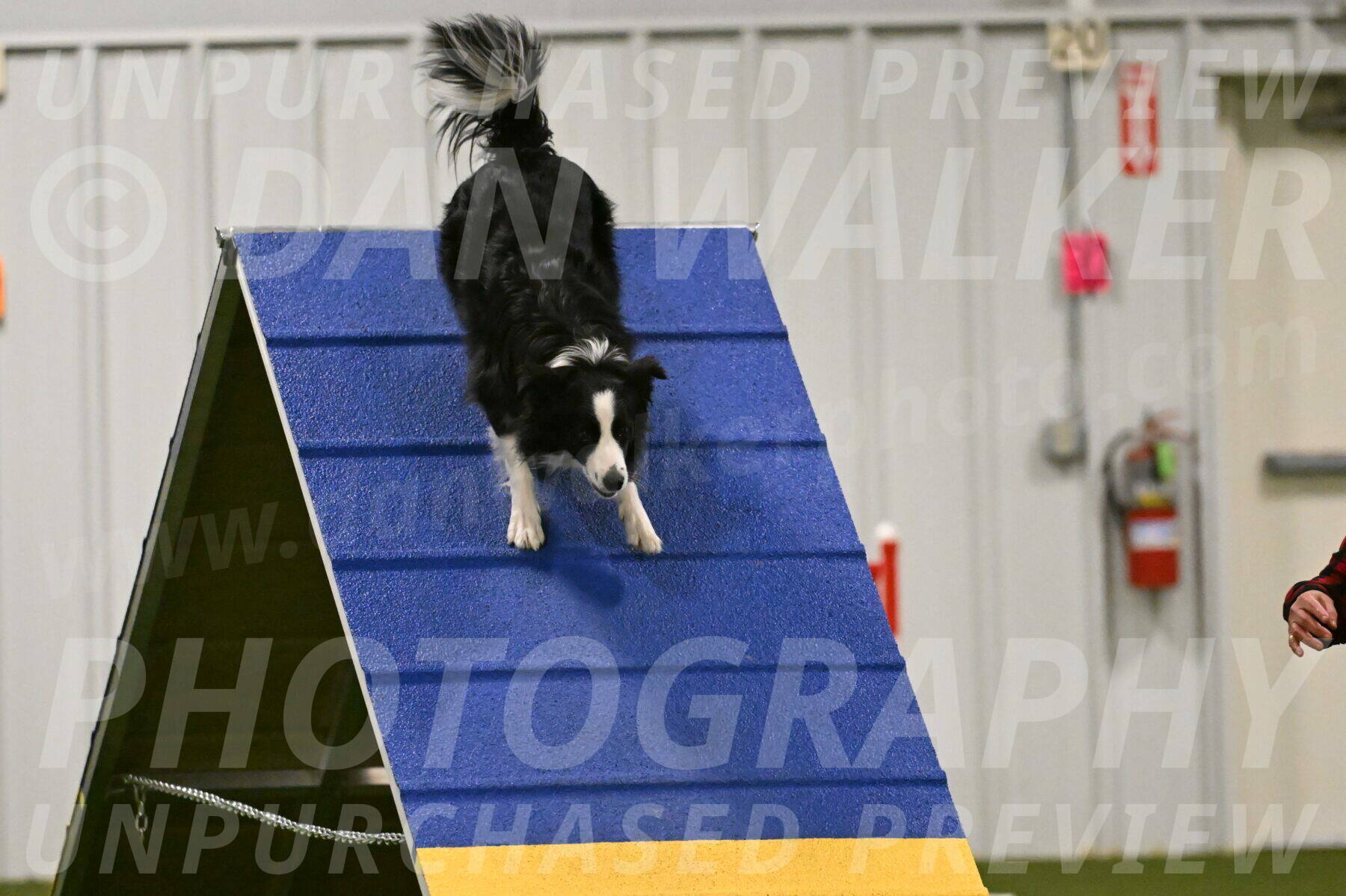 Red-Bull-Mark-Paskawych-09707