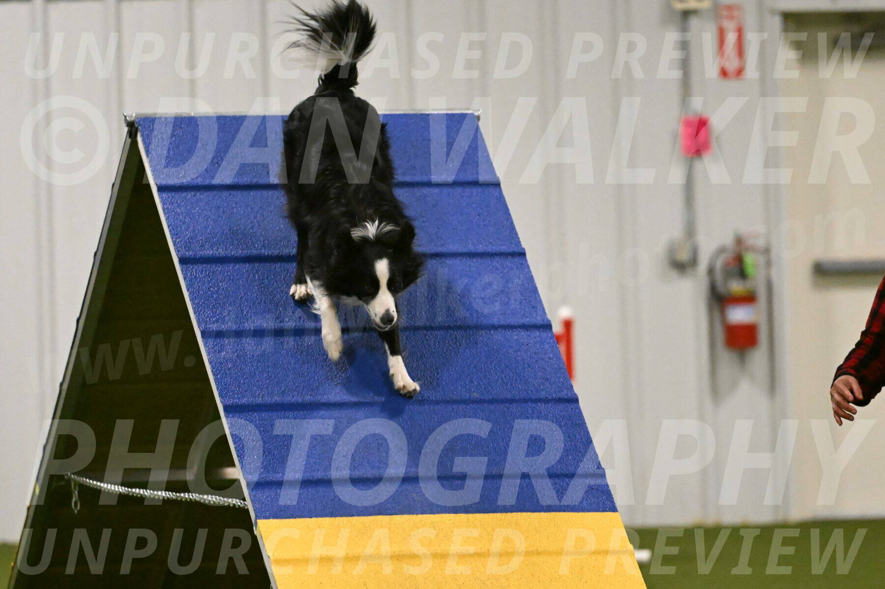 Red-Bull-Mark-Paskawych-09708