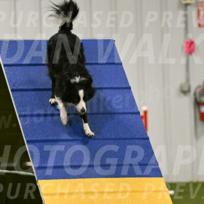 Red-Bull-Mark-Paskawych-09708