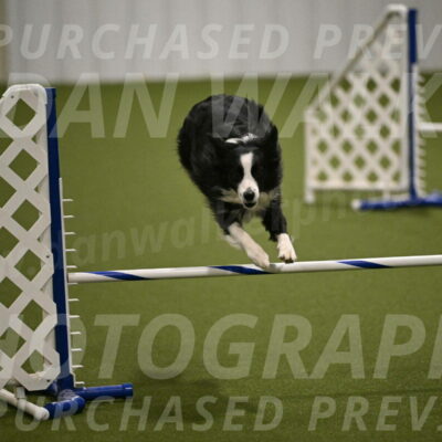 Red-Bull-Mark-Paskawych-09709
