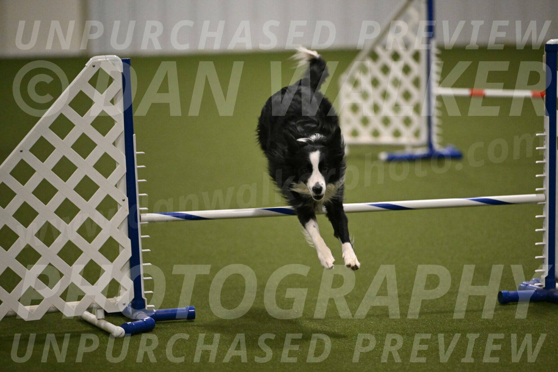 Red-Bull-Mark-Paskawych-09710