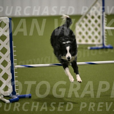 Red-Bull-Mark-Paskawych-09710