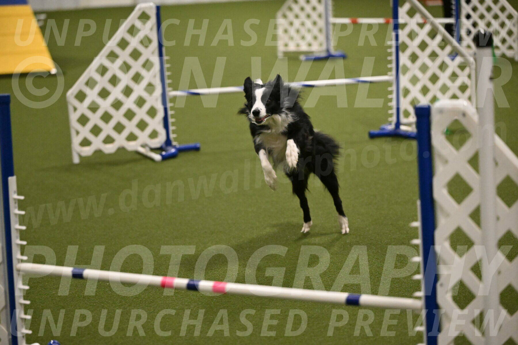 Red-Bull-Mark-Paskawych-09711