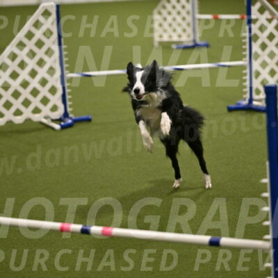Red-Bull-Mark-Paskawych-09711