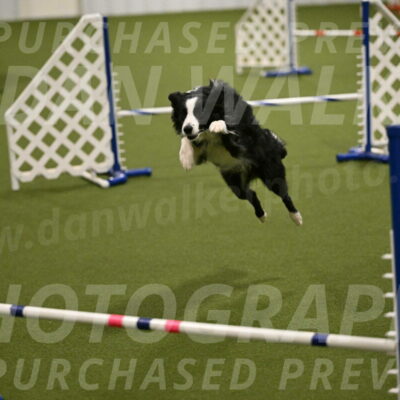 Red-Bull-Mark-Paskawych-09712