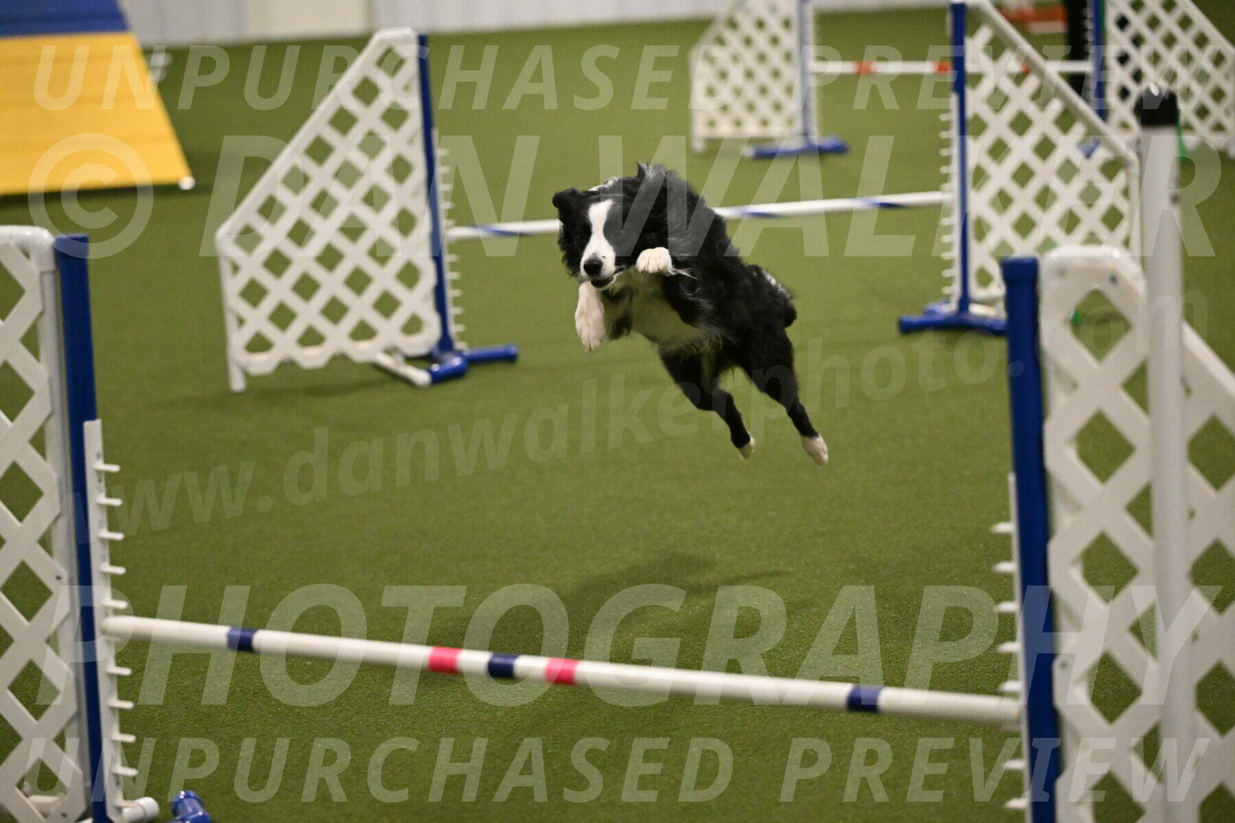 Red-Bull-Mark-Paskawych-09712