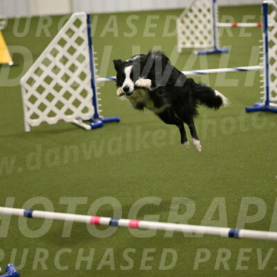 Red-Bull-Mark-Paskawych-09713