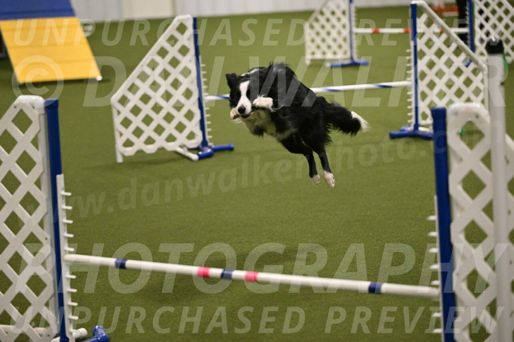 Red-Bull-Mark-Paskawych-09713