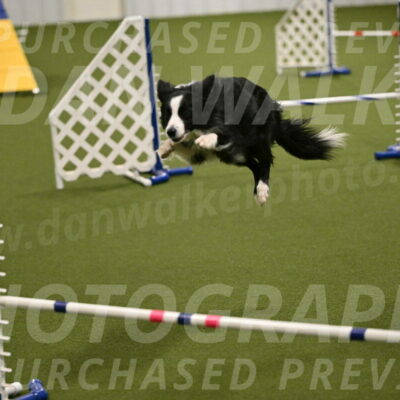 Red-Bull-Mark-Paskawych-09714