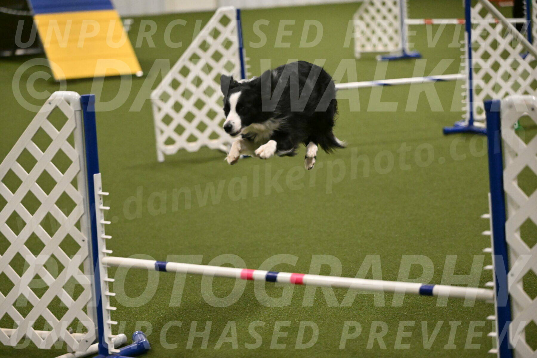 Red-Bull-Mark-Paskawych-09715