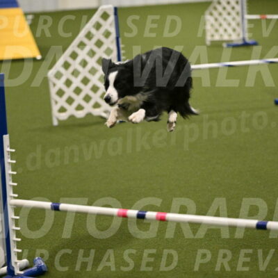 Red-Bull-Mark-Paskawych-09715