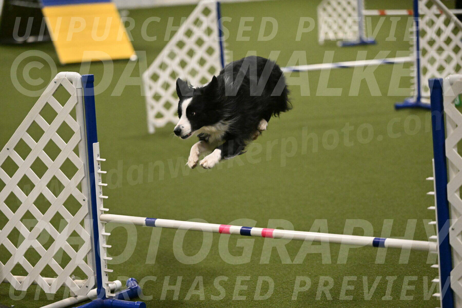 Red-Bull-Mark-Paskawych-09716